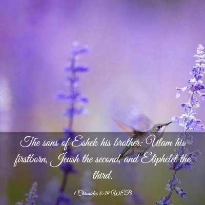 Picture 03 - 1 Chronicles 8:39 WEB - The sons of Eshek his brother: Ulam his - Bible Verse Picture