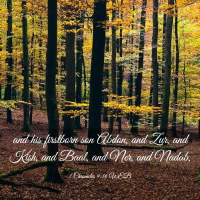 Picture 03 - 1 Chronicles 9:36 WEB - and his firstborn son Abdon, and Zur, and Kish, - Bible Verse Picture