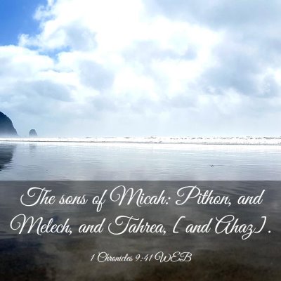 Picture 03 - 1 Chronicles 9:41 WEB - The sons of Micah: Pithon, and Melech, and - Bible Verse Picture