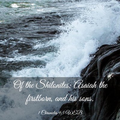 Picture 03 - 1 Chronicles 9:5 WEB - Of the Shilonites: Asaiah the firstborn, and his - Bible Verse Picture