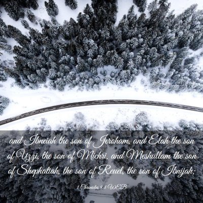 Picture 03 - 1 Chronicles 9:8 WEB - and Ibneiah the son of Jeroham, and Elah the son - Bible Verse Picture