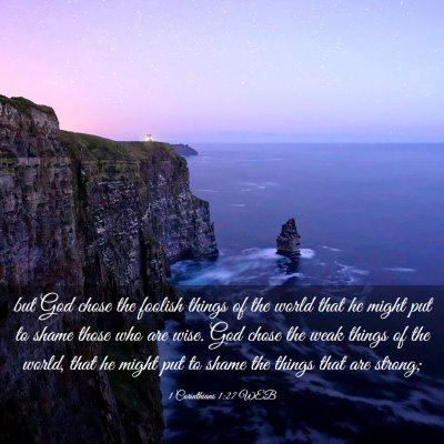 Picture 03 - 1 Corinthians 1:27 WEB - but God chose the foolish things of the world - Bible Verse Picture