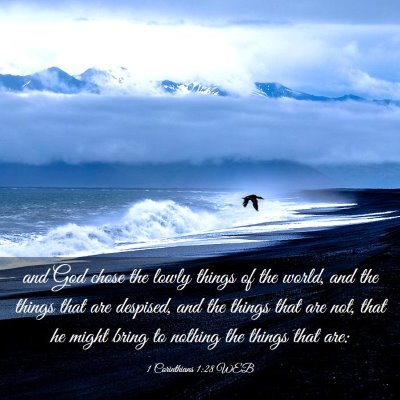 Picture 03 - 1 Corinthians 1:28 WEB - and God chose the lowly things of the world, and - Bible Verse Picture
