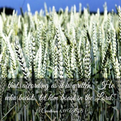 Picture 03 - 1 Corinthians 1:31 WEB - that, according as it is written, 