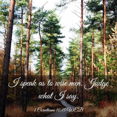 Picture 03 - 1 Corinthians 10:15 WEB - I speak as to wise men. Judge what I - Bible Verse Picture