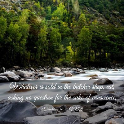 Picture 03 - 1 Corinthians 10:25 WEB - Whatever is sold in the butcher shop, eat, asking - Bible Verse Picture