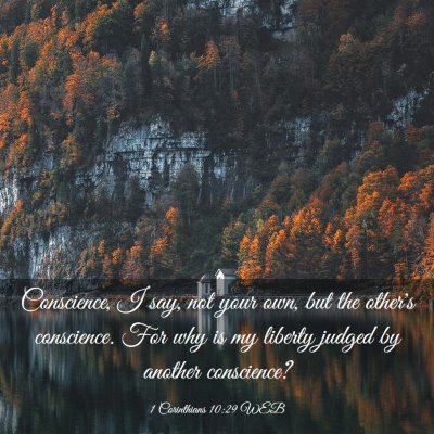 Picture 03 - 1 Corinthians 10:29 WEB - Conscience, I say, not your own, but the other's - Bible Verse Picture