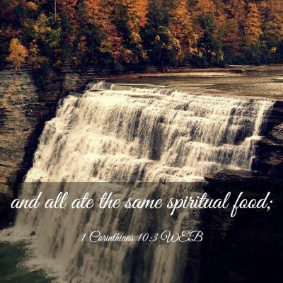 Picture 03 - 1 Corinthians 10:3 WEB - and all ate the same spiritual - Bible Verse Picture