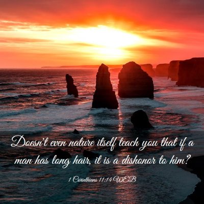 Picture 03 - 1 Corinthians 11:14 WEB - Doesn't even nature itself teach you that if a - Bible Verse Picture