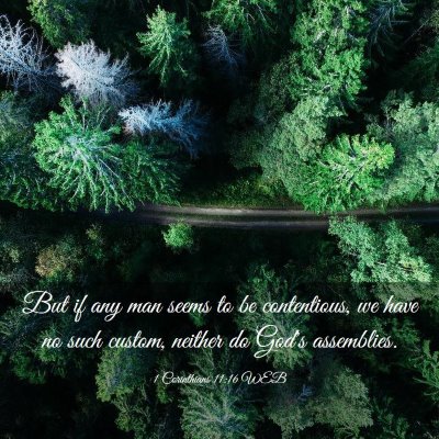 Picture 03 - 1 Corinthians 11:16 WEB - But if any man seems to be contentious, we have - Bible Verse Picture
