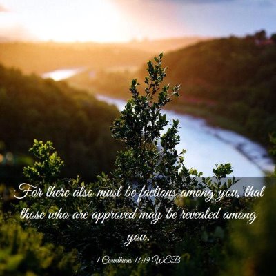 Picture 03 - 1 Corinthians 11:19 WEB - For there also must be factions among you, that - Bible Verse Picture