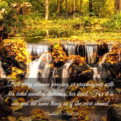 Picture 03 - 1 Corinthians 11:5 WEB - But every woman praying or prophesying with her - Bible Verse Picture