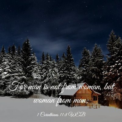 Picture 03 - 1 Corinthians 11:8 WEB - For man is not from woman, but woman from - Bible Verse Picture