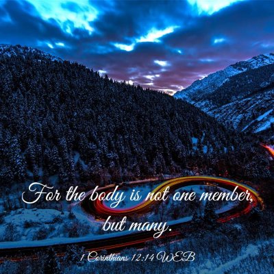 Picture 03 - 1 Corinthians 12:14 WEB - For the body is not one member, but - Bible Verse Picture