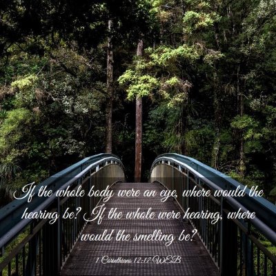 Picture 03 - 1 Corinthians 12:17 WEB - If the whole body were an eye, where would the - Bible Verse Picture