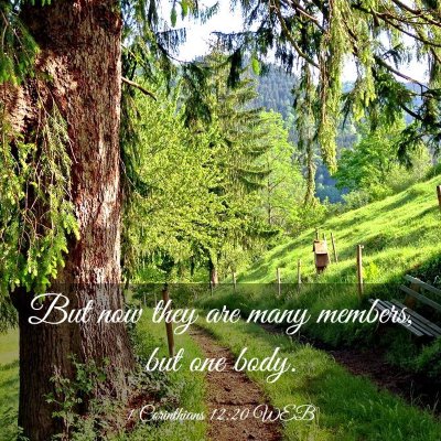 Picture 03 - 1 Corinthians 12:20 WEB - But now they are many members, but one - Bible Verse Picture