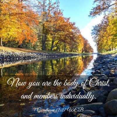 Picture 03 - 1 Corinthians 12:27 WEB - Now you are the body of Christ, and members - Bible Verse Picture