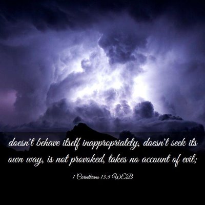 Picture 03 - 1 Corinthians 13:5 WEB - doesn't behave itself inappropriately, doesn't - Bible Verse Picture