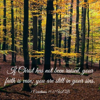 Picture 03 - 1 Corinthians 15:17 WEB - If Christ has not been raised, your faith is - Bible Verse Picture