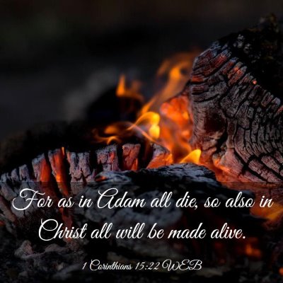 Picture 03 - 1 Corinthians 15:22 WEB - For as in Adam all die, so also in Christ all - Bible Verse Picture