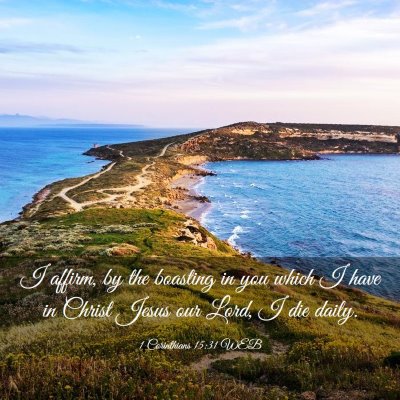 Picture 03 - 1 Corinthians 15:31 WEB - I affirm, by the boasting in you which I have in - Bible Verse Picture