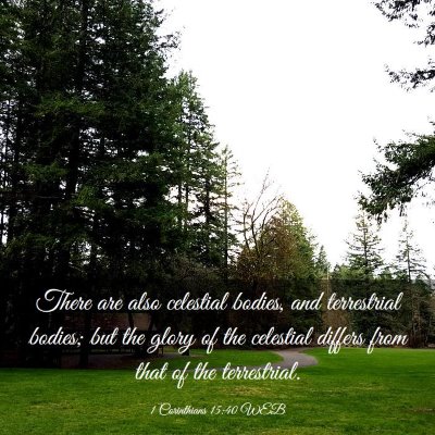 Picture 03 - 1 Corinthians 15:40 WEB - There are also celestial bodies, and terrestrial - Bible Verse Picture