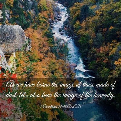 Picture 03 - 1 Corinthians 15:49 WEB - As we have borne the image of those made of dust, - Bible Verse Picture