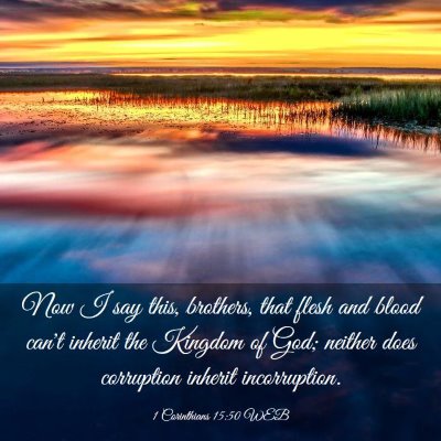 Picture 03 - 1 Corinthians 15:50 WEB - Now I say this, brothers, that flesh and blood - Bible Verse Picture