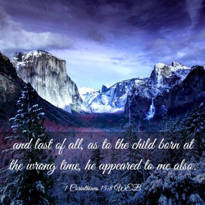 Picture 03 - 1 Corinthians 15:8 WEB - and last of all, as to the child born at the - Bible Verse Picture