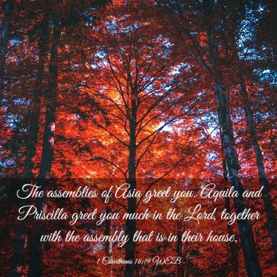 Picture 03 - 1 Corinthians 16:19 WEB - The assemblies of Asia greet you. Aquila and - Bible Verse Picture