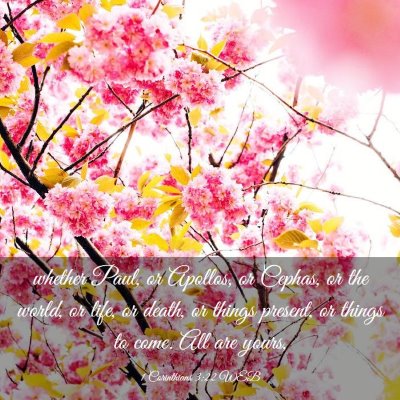 Picture 03 - 1 Corinthians 3:22 WEB - whether Paul, or Apollos, or Cephas, or the - Bible Verse Picture