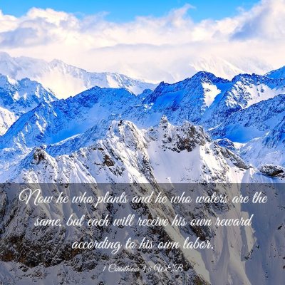 Picture 03 - 1 Corinthians 3:8 WEB - Now he who plants and he who waters are the same, - Bible Verse Picture
