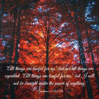 Picture 03 - 1 Corinthians 6:12 WEB - 