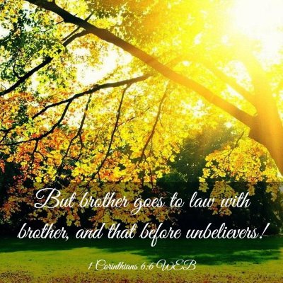 Picture 03 - 1 Corinthians 6:6 WEB - But brother goes to law with brother, and that - Bible Verse Picture
