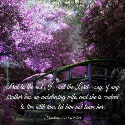 Picture 03 - 1 Corinthians 7:12 WEB - But to the rest I--not the Lord--say, if any - Bible Verse Picture