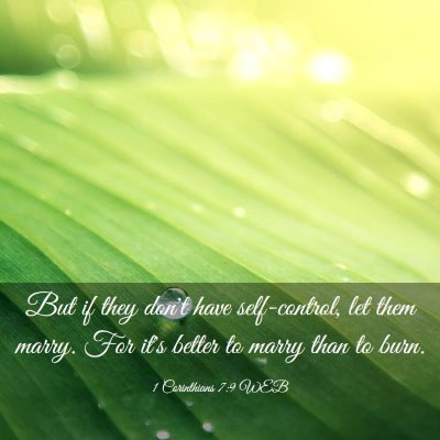 Picture 03 - 1 Corinthians 7:9 WEB - But if they don't have self-control, let them - Bible Verse Picture