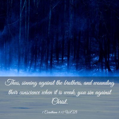 Picture 03 - 1 Corinthians 8:12 WEB - Thus, sinning against the brothers, and wounding - Bible Verse Picture