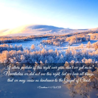 Picture 03 - 1 Corinthians 9:12 WEB - If others partake of this right over you, don't - Bible Verse Picture