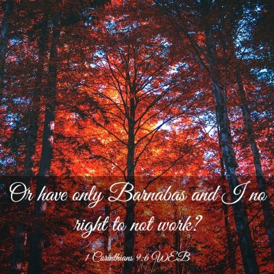 Picture 03 - 1 Corinthians 9:6 WEB - Or have only Barnabas and I no right to not - Bible Verse Picture