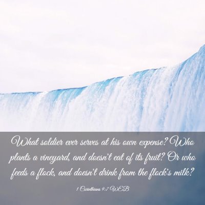 Picture 03 - 1 Corinthians 9:7 WEB - What soldier ever serves at his own expense? Who - Bible Verse Picture