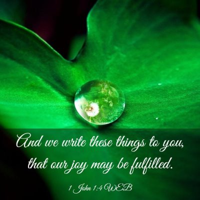 Picture 03 - 1 John 1:4 WEB - And we write these things to you, that our joy - Bible Verse Picture