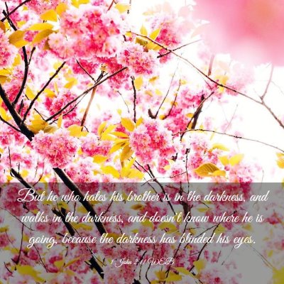 Picture 03 - 1 John 2:11 WEB - But he who hates his brother is in the darkness, - Bible Verse Picture