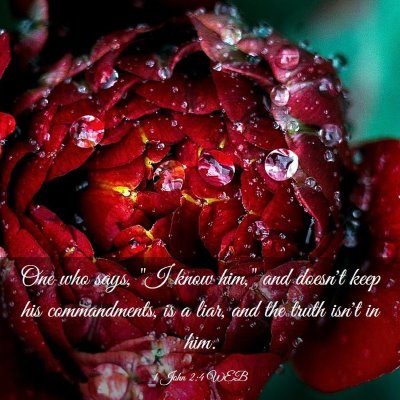 Picture 03 - 1 John 2:4 WEB - One who says, 