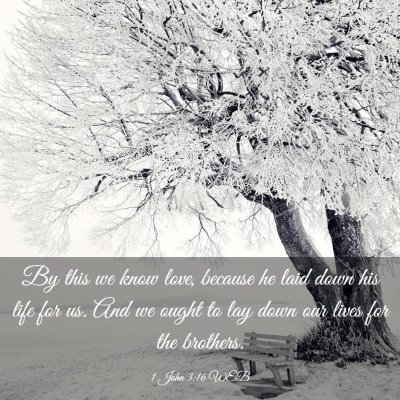 Picture 03 - 1 John 3:16 WEB - By this we know love, because he laid down his - Bible Verse Picture