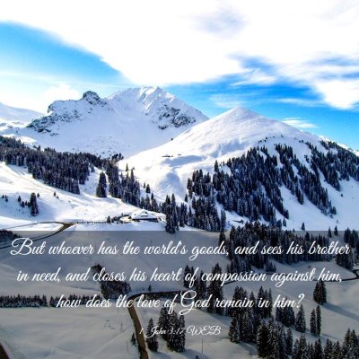 Picture 03 - 1 John 3:17 WEB - But whoever has the world's goods, and sees his - Bible Verse Picture
