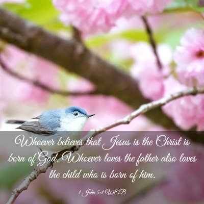 Picture 03 - 1 John 5:1 WEB - Whoever believes that Jesus is the Christ is born - Bible Verse Picture