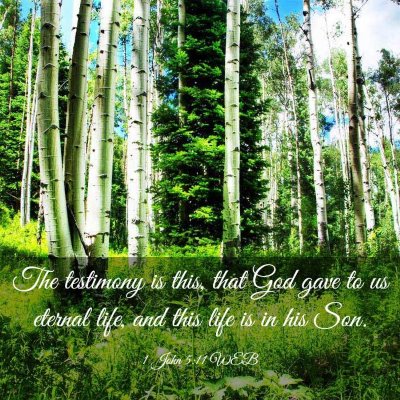 Picture 03 - 1 John 5:11 WEB - The testimony is this, that God gave to us - Bible Verse Picture