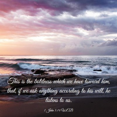 Picture 03 - 1 John 5:14 WEB - This is the boldness which we have toward him, - Bible Verse Picture