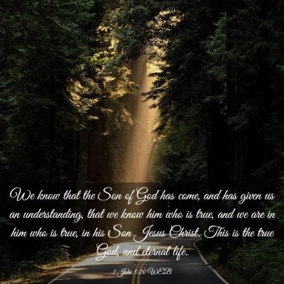 Picture 03 - 1 John 5:20 WEB - We know that the Son of God has come, and has - Bible Verse Picture