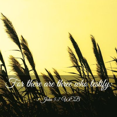 Picture 03 - 1 John 5:7 WEB - For there are three who - Bible Verse Picture